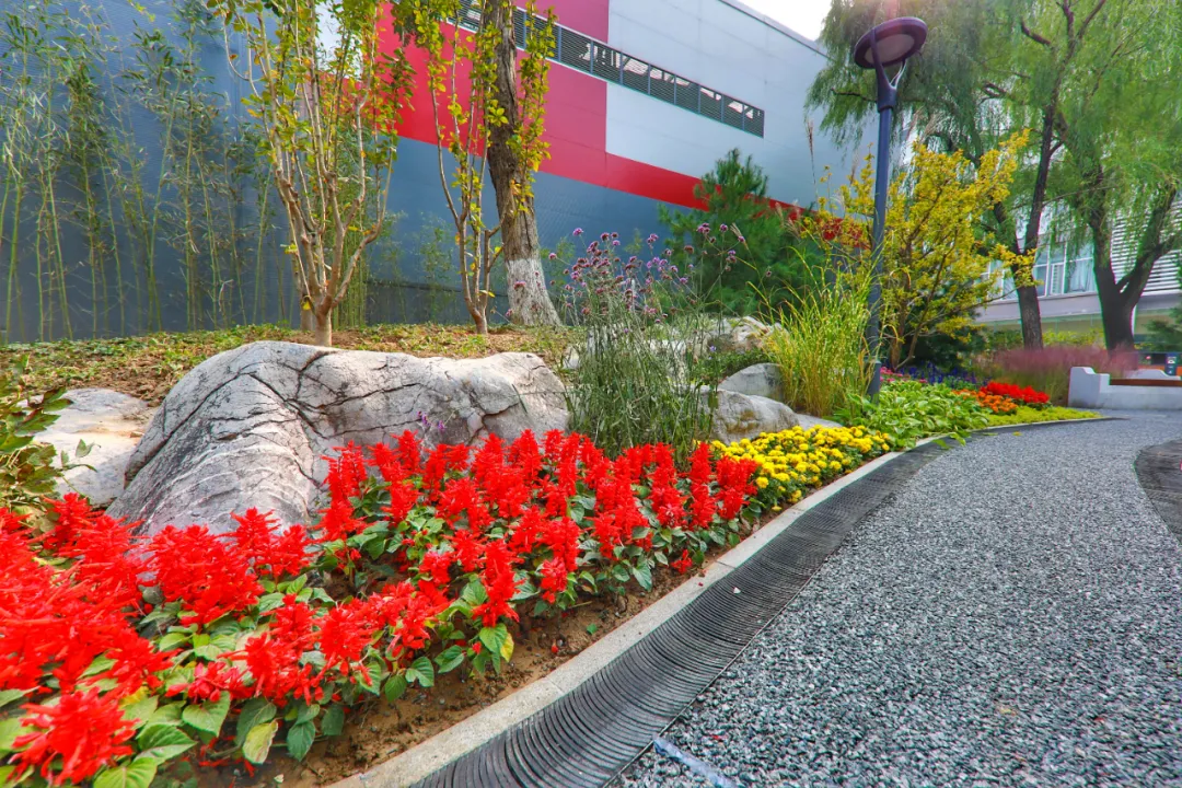 又添一处街心公园，曾经的闲置空地大！变！样！