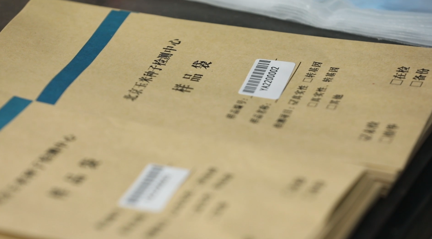 “玉米团长”不简单！