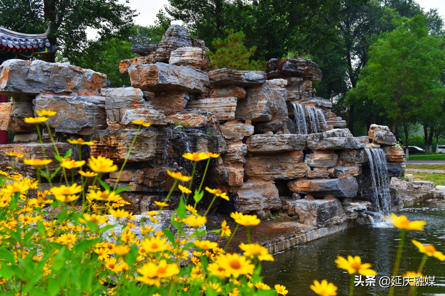 万万没想到！延庆的花海如此锦绣斑斓，简直美醉~