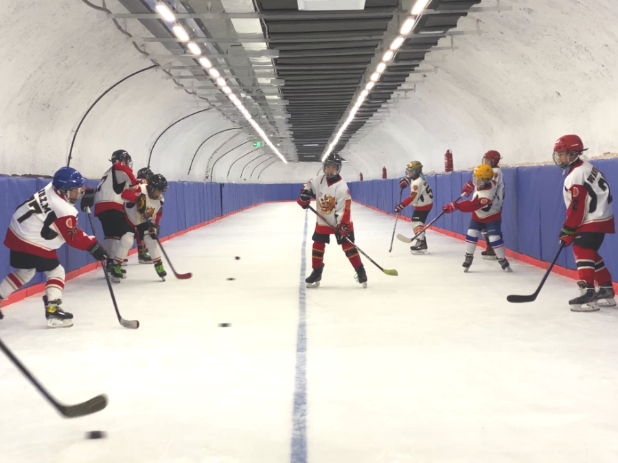 地坛滑冰馆开业！助推东城冰雪运动发展