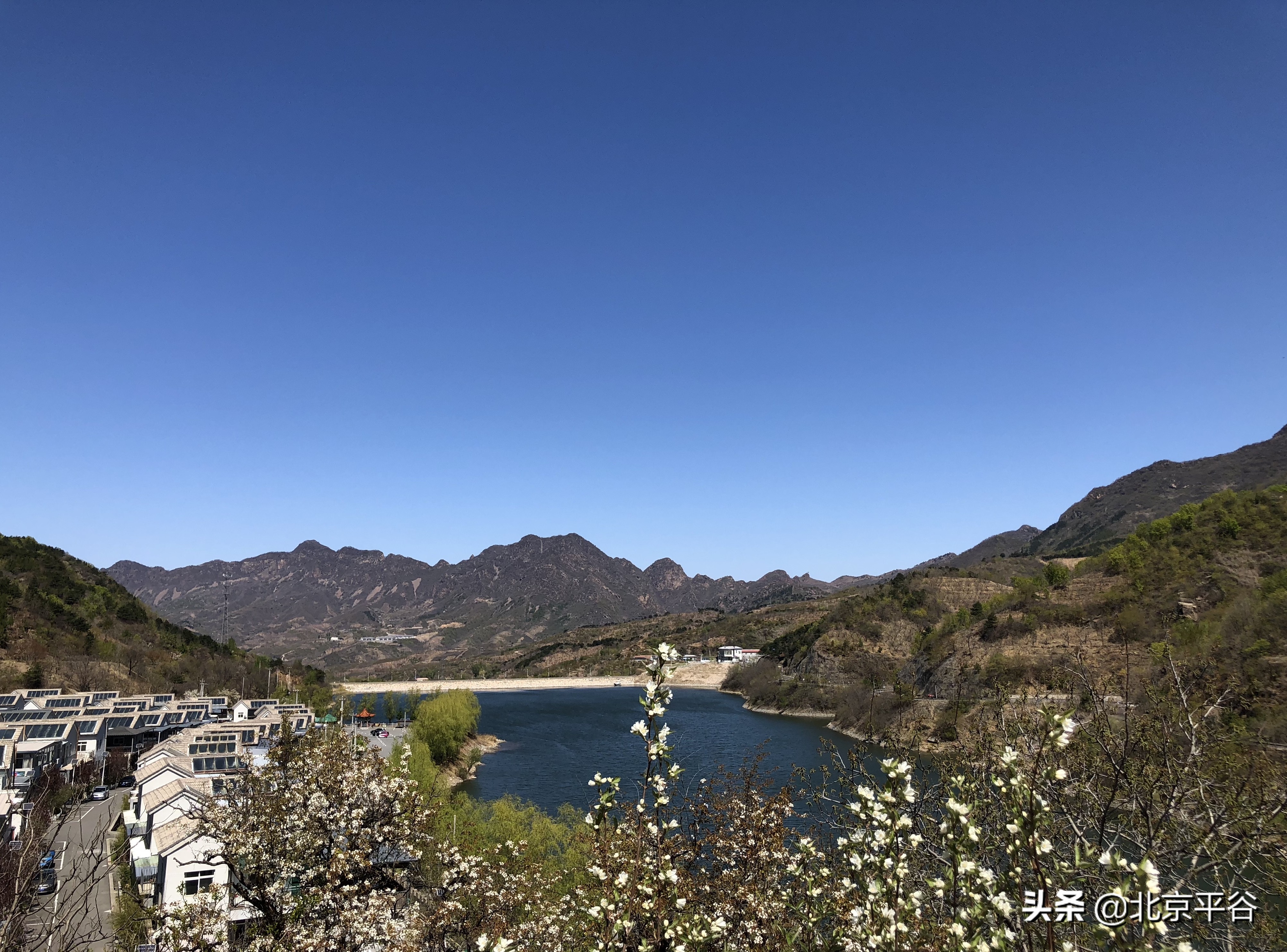 平谷镇罗营镇做好服务保障助力旅游产业复苏