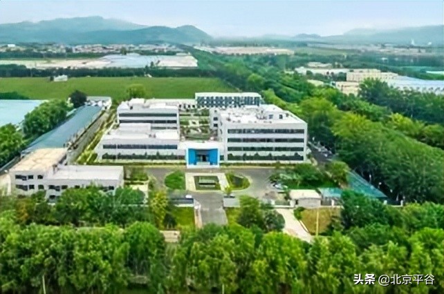 北京平谷：出台稳就业“双十加”举措 吸纳高校毕业生回区共建“高大尚”平谷