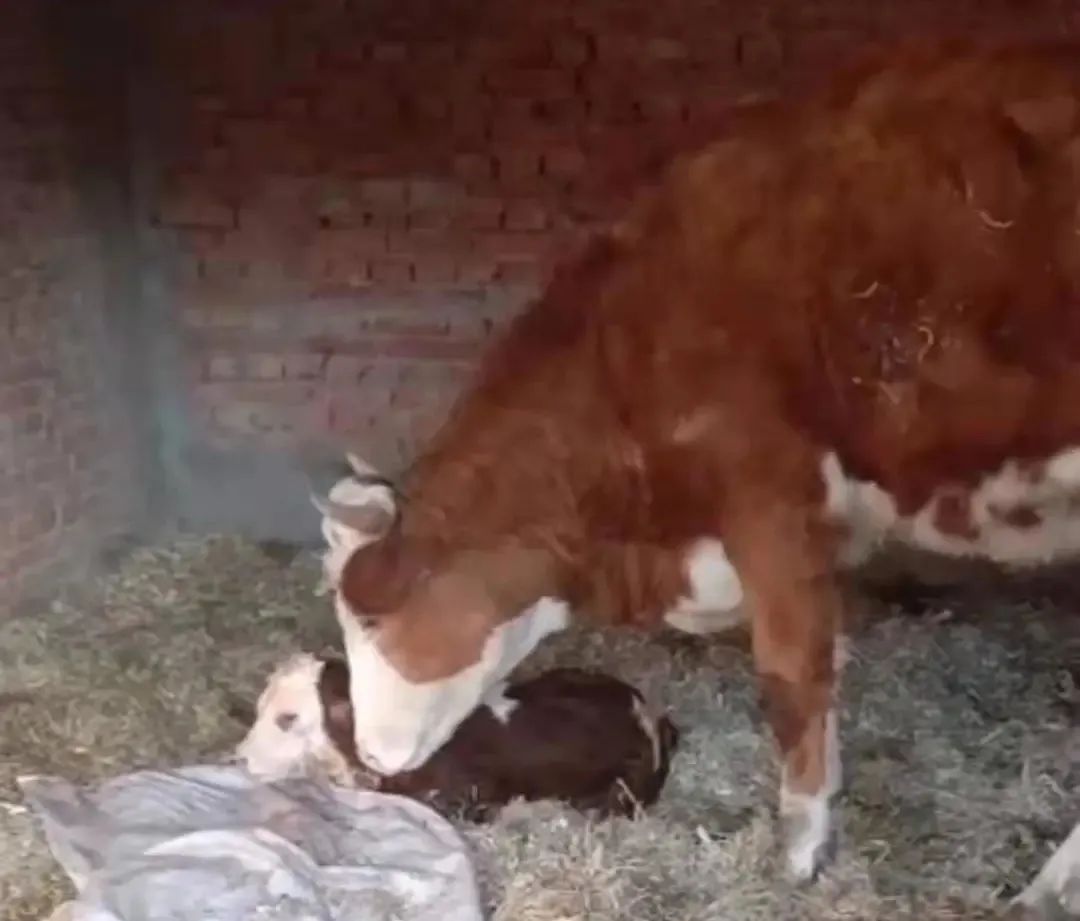 外卖小哥“因案致贫”，司法救助后检察官还做了这些