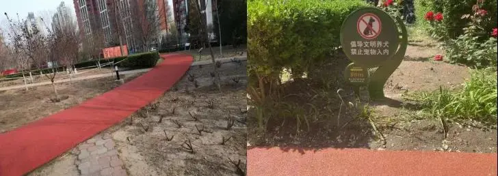 创城进行时 | 细“治”入微扮社区 城市家园更靓丽