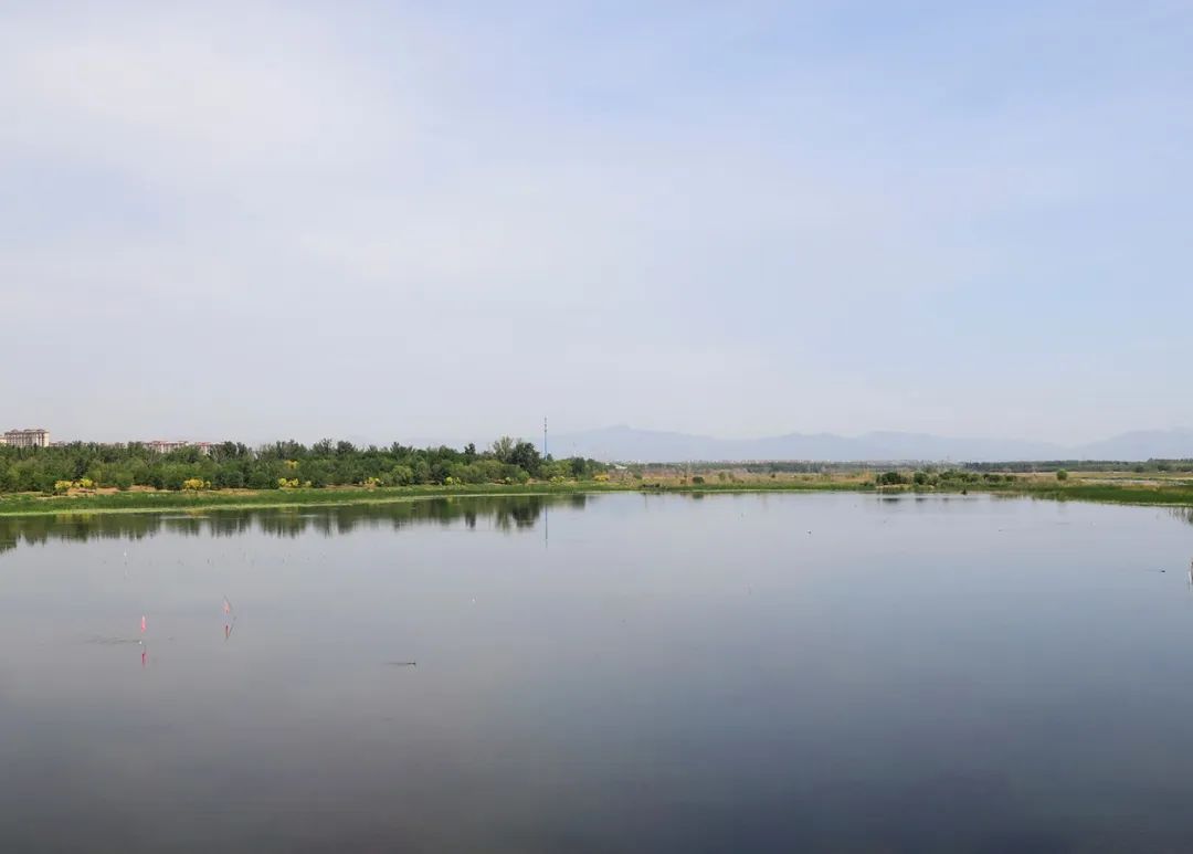 顺义区水环境提档升级