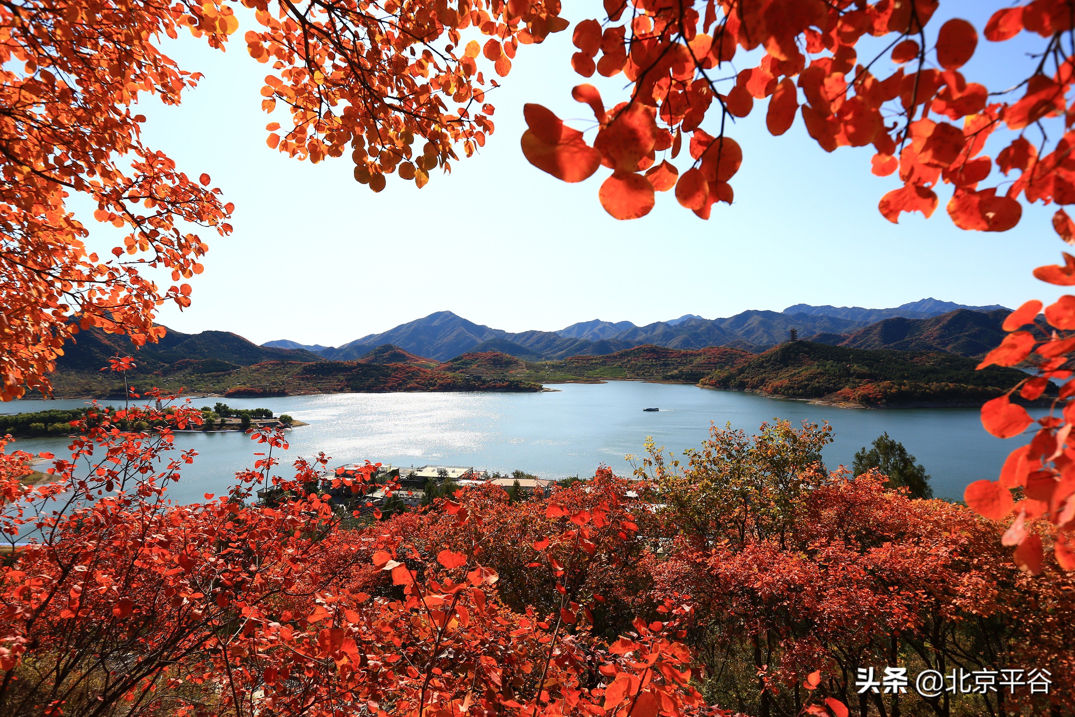 平谷金海湖镇：疫情防控复工复产两手抓 促进经济建设和社会发展