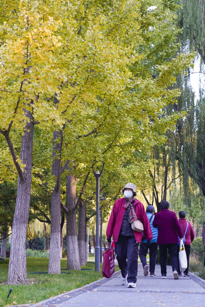 多图实拍！地坛园外园重装开园，打造全龄友好社区公园