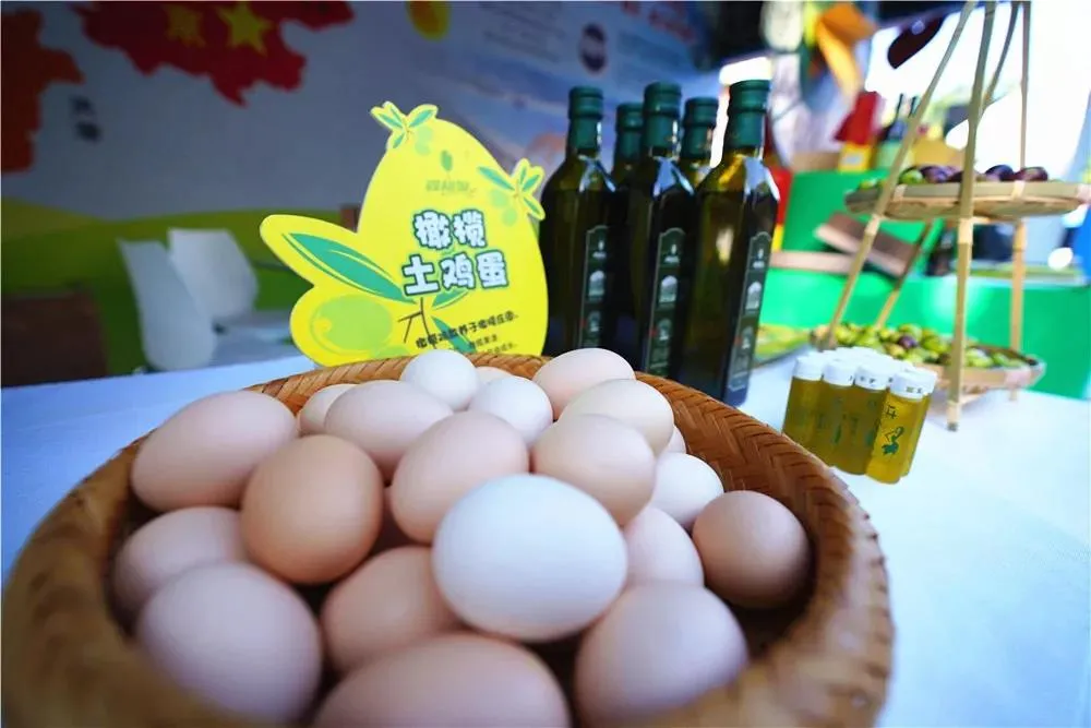 东城：以消费扶贫为引领，助力脱贫攻坚收官