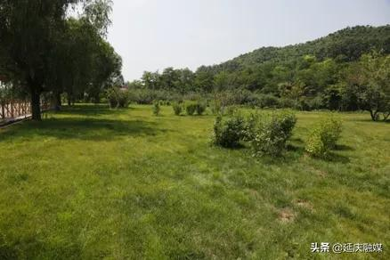 拆违复绿、拆违惠民~延庆为扮靓最美冬奥城持续提升城乡环境