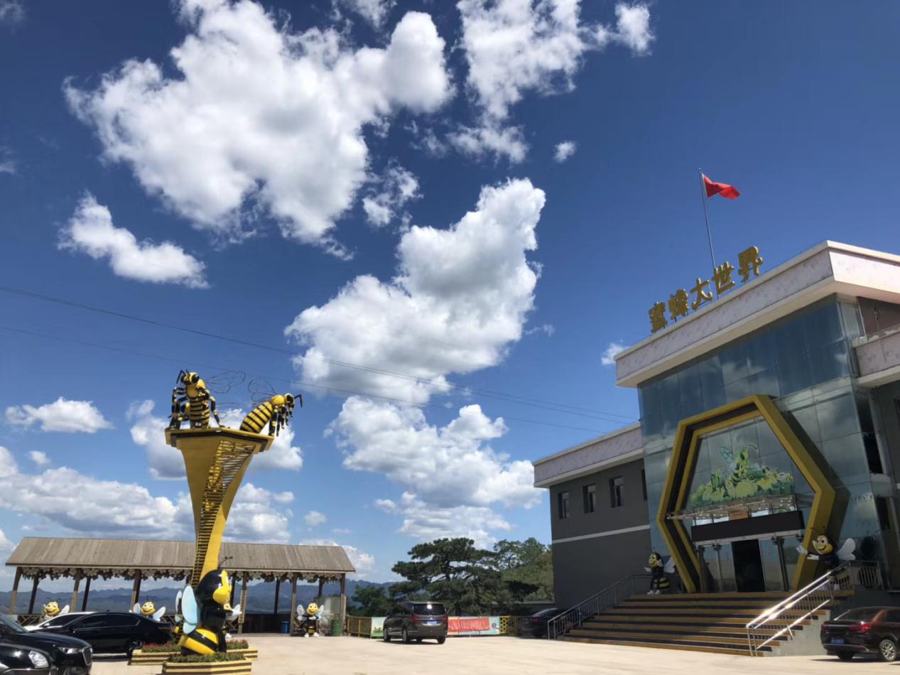 看山花、赏美景、住民宿，吃喝玩乐游太师屯