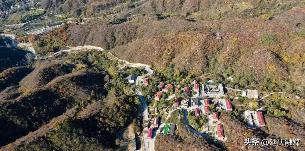 世园会两周年丨延庆区紧抓绿色发展机遇 助推园艺产业发展新动能