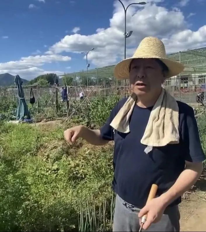 做一个“都市农夫”