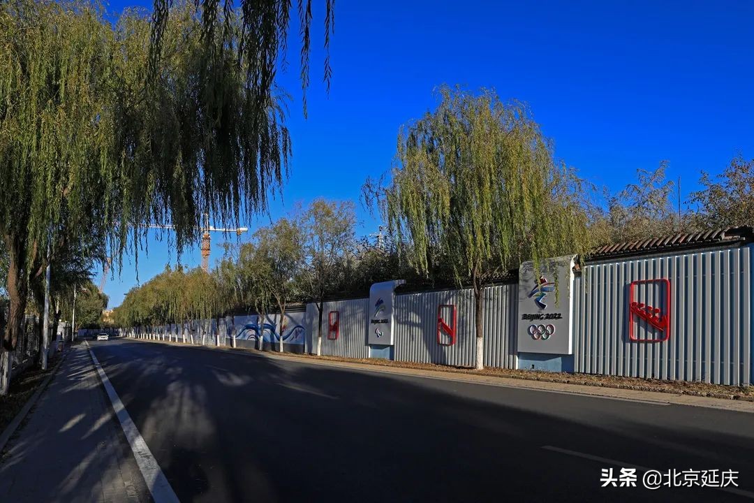 我为群众办实事｜延庆区110条街巷全方位整治提升 打造舒心人居环境